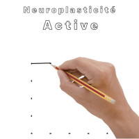 Exercices de Traçage et Coloriage Adapté