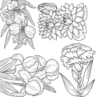Coloriage floral facile